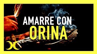 5 Amarres de amor con orina Los rituales más poderosos y efectivos [upl. by Weide]