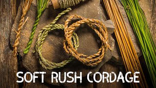 Soft Rush Cordage  Cordage from foraged fibres  Ep 1 [upl. by Grimaud]