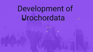 Development of Urochordata herdmania for MSc and BSc life science [upl. by Ellenrahs]