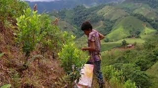 Cocaine Country  Colombia  Classic Video [upl. by Jurgen]