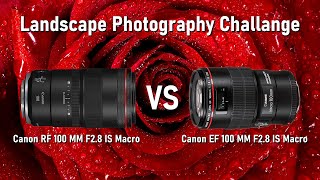 Canon RF 100MM Macro vs Canon EF 100MM Macro  Which one is the better investment [upl. by Aicatan]