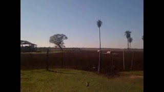 VIDEO ESTANCIA LOMITA  PARAGUAY [upl. by Charisse678]