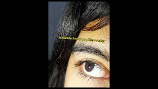 Examination of pupillary light reflex 2nd year MBBS practical Physiology [upl. by Nievelt]