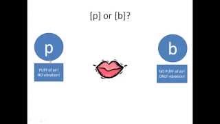 Park and Bark The Difference Between Voiced and Voiceless Consonants [upl. by Agripina302]