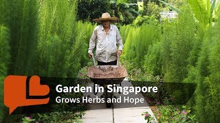 The One Way This Singapore Gardener Knows to Help [upl. by Jemie148]