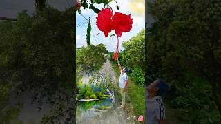 Flower crezy photography ideas ✅ mobile tricks shorts mobile photographytrending funnyvideos [upl. by Ellora]