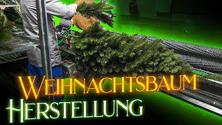 Künstlicher Weihnachtsbaum Herstellung Produktion der Pure Living Nordmanntanne [upl. by Flavio815]