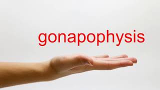 How to Pronounce gonapophysis  American English [upl. by Eryt728]