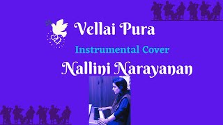 Maestros Vellai PuraInstrumental Cover By Nallini Narayanan [upl. by Nosnehpets290]