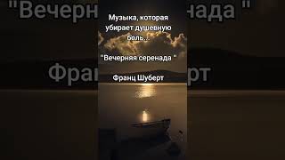 Франц Шуберт quot Вечерняя серенадаquot [upl. by Melinde71]