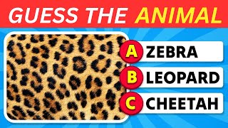 Can You Guess the Animal by Their Unique Textures 🦁🔍 Guess the Animal Quiz 🐾✅ [upl. by Shaw577]