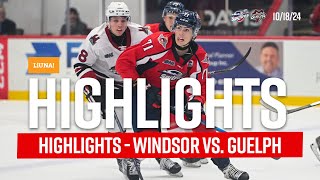 Highlights  Windsor Spitfires  Guelph Storm Oct 18 2024 [upl. by Kcirddec677]