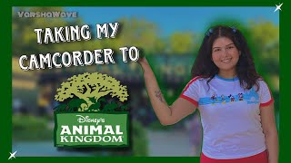 My 1st visit to Disneys Animal Kingdom [upl. by Stedman807]