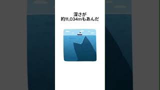 シロナガスクジラは、ゾウ何頭分の体重があるか知ってた？？ ランキング 雑学 豆知識 ランキング雑学 [upl. by Alithia]