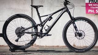 Specialized Stumpjumper Evo Pro Carbon 29er  bike check [upl. by Adnoluy]