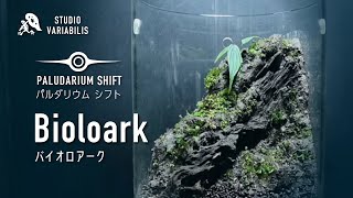 Bioloark 立ち上げ  Bio01  パルダリウムシフト【室内雨林園芸パルダリウム盆栽】 [upl. by Ettenyar]