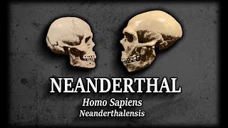 What on Earth Happened to the Neanderthals And Other PaleoHumans [upl. by Raina]