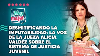 Desmitificando la imputabilidad La jueza Alicia Valdéz habla sobre el sistema de justicia juvenil [upl. by Kcuhc]