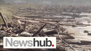 Cyclone Hale delivers massive flooding slips and destruction as it moves down the country  Newshub [upl. by Introk]