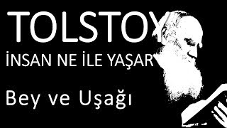 quotİnsan ne ile yaşarquot bölüm quotBey ve Uşağıquot Tolstoy sesli kitap okuyan Akın ALTAN [upl. by Refinej]