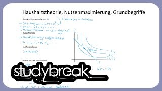 Haushaltstheorie Nutzenmaximierung Grundbegriffe  Steuerlehre [upl. by Plusch817]