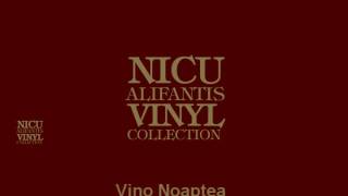 Nicu Alifantis  Vino noaptea [upl. by Anomar]