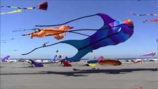 Washington State Kite Festival [upl. by Ycal815]