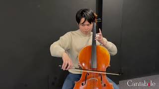 AMEB Cello Series 2 Grade 3 List C No 2  Summertime [upl. by Bazar]