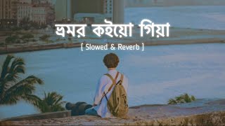 ভ্রমর কইয়ো গিয়া  Slowed amp Reverb  Bhromor Lofi  Surojit  Radharaman Dutta  Zihans Lofi [upl. by Aynnek]