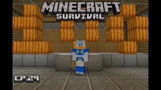 100 Subscriber Special  Minecraft Survival Ep 29 [upl. by Enimassej]