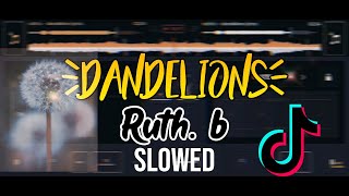 Dandelions RuthB slowedtiktok version im in a field of dandelions  Tiktok viral song [upl. by Eceerahs97]