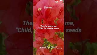 quotFlowersquot Samantha Ebert Lyrics [upl. by Astrahan]