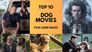 Top 10 Best Dog Movies  Main Character  Must Watch List [upl. by Airliah]