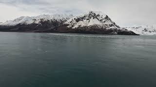 Seward and Icy Strait Point 4 min cruise stop video April 2024 [upl. by Ferren]