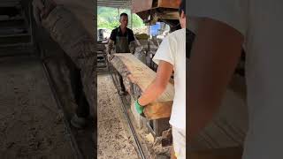 cut log wood cuttingskills woodworking [upl. by Dinerman536]