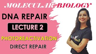 Photoreactivation Repair Direct RepairMolecular BiologyPhotolyaseDna Repair System Lecture 2 [upl. by Finlay913]