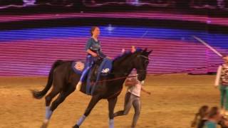 Tagestrailer BarockpferdeTag EQUITANA 2017 SONNTAG 26 Maerz 2017 [upl. by Eleonora159]