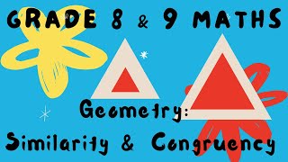 Grade 8amp9 Mathematics Similarity and Congruency [upl. by Ahtanaram]