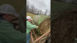 Throwback to our DIY hay bale unroller Would you use one of these welding weld fyp diy reels [upl. by Carmita]