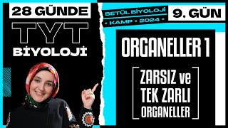 9 Organeller 1  9 Sınıf Biyoloji  2024 TYT Biyoloji Kampı 9 Gün [upl. by Aicilf]