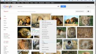 How to Copy and Paste Pictures from Google [upl. by Yerbua]