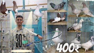 Murgi chowk🐈‍⬛🐣Hyderabad Charminar  New Shop pigeon gairbaz🐦pair Siraj kabutar🕊️ available in Hyd💯 [upl. by Sayles]