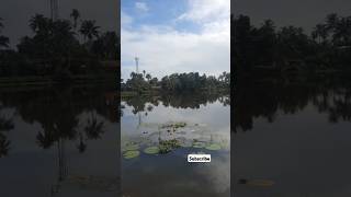 വെളിയനാട് പാടം song music youtubeshorts malayalam alappuzhakaran travel varietyofplace song [upl. by Lacym]