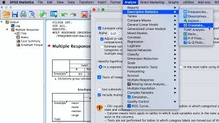 SPSS How To Perform Quantitative Data Analyses For Bachelors Research 5 Basic Analysis Methods [upl. by Justina]