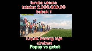 Popay vs getot lombamerpatibalapsprint jokiviral joki balapmerpati merpati lombamerpatibalap [upl. by Kistner408]