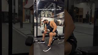 How to do Concentration Curls [upl. by Aicilav]