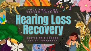 ❋ Powerful Hearing Loss Recovery  Healing Affirmations  290 Hz Rife Frequency  Rain Sounds [upl. by Fowle]