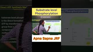 Substrate level Phosphorylation [upl. by Onofredo]