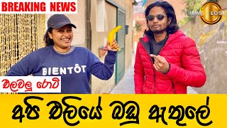 අපි එලියේ බඩු ඇතුලේ  🌯එලවලු රොටි  Breaking News  පාලු දූපතේ වික්‍රම 15  BINARIO12 [upl. by Aerdnod]