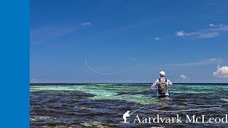 Top Ten Casting Techniques for Fly Fishing In Saltwater [upl. by Gabey]